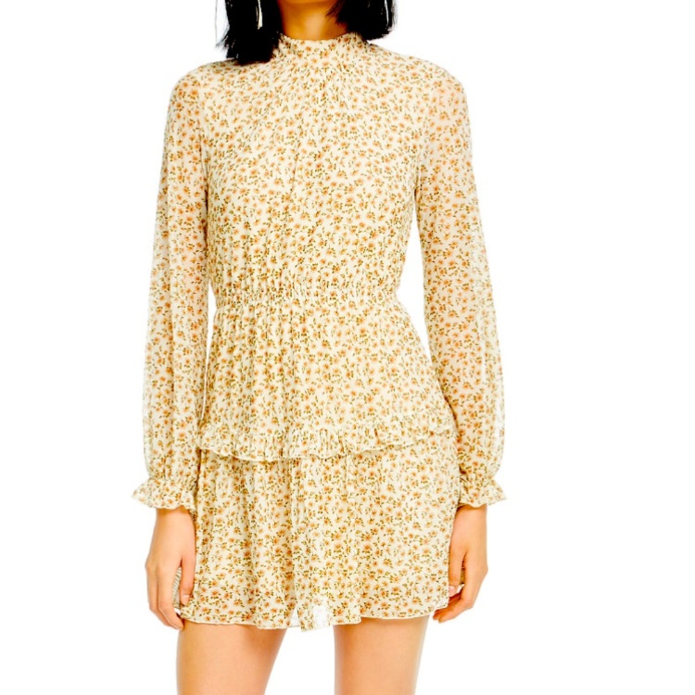 NWT Sadie & Sage Ruffle Mesh Mock- Neck Dress.
